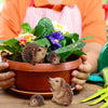 Realistic Jungle Forest Hedgehog 4PCS Toy for Children