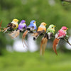 12PCS Mini Gardening Colorful Artificial Bird Set Decorative Ornament