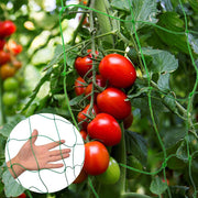 1.8x5m Garden Plant Climbing Net Set Tomato Vine Growth Large-Grid