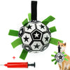 Interactive Dog Toys Pet Chew Toy Dogs Football Toys